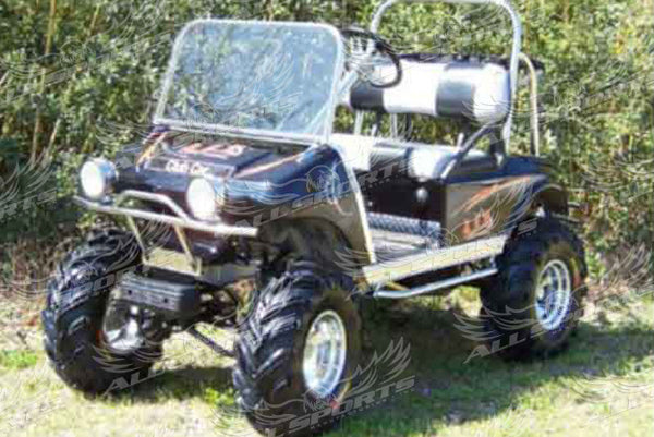 Club Car DS All Sports Ultra 10" A-Arm Lift Kit